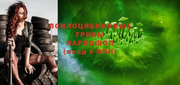 шишки Балахна